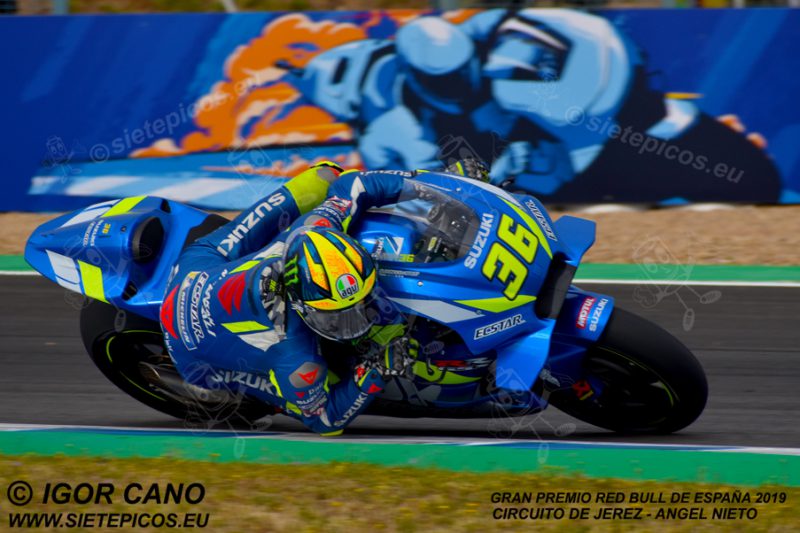 Piloto Joan Mir (36) (Team Suzuki ECSTAR) en la curva Peluqui. Gran Premio Red Bull de España 2019 Circuito de Jerez Angel Nieto. Jerez. España. MotoGPTM